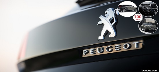 Peugeot 208 DPF Guide