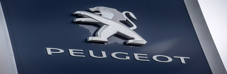 Peugeot Fuel Emission Blog
